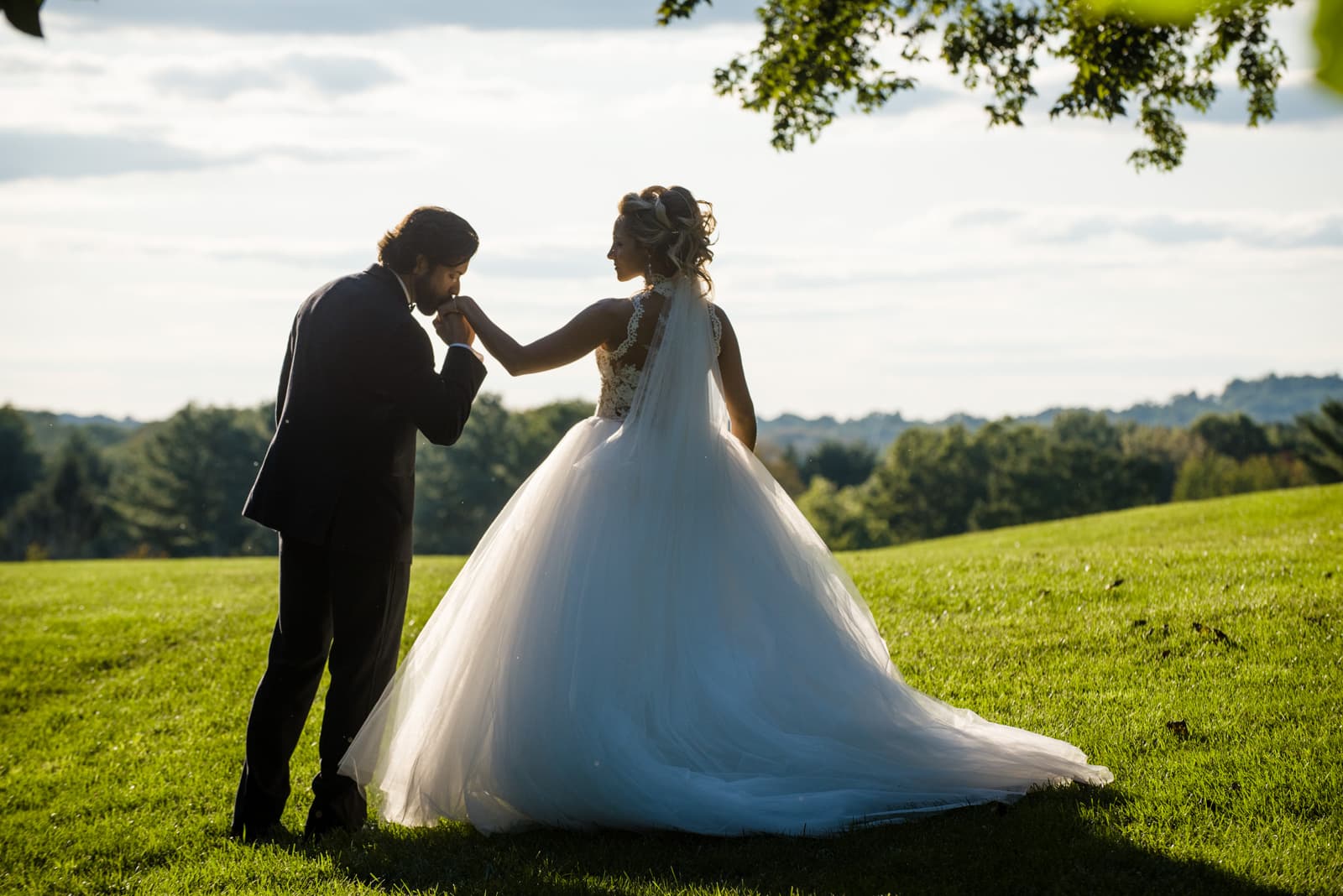 Barnyard Photography in Wilmington