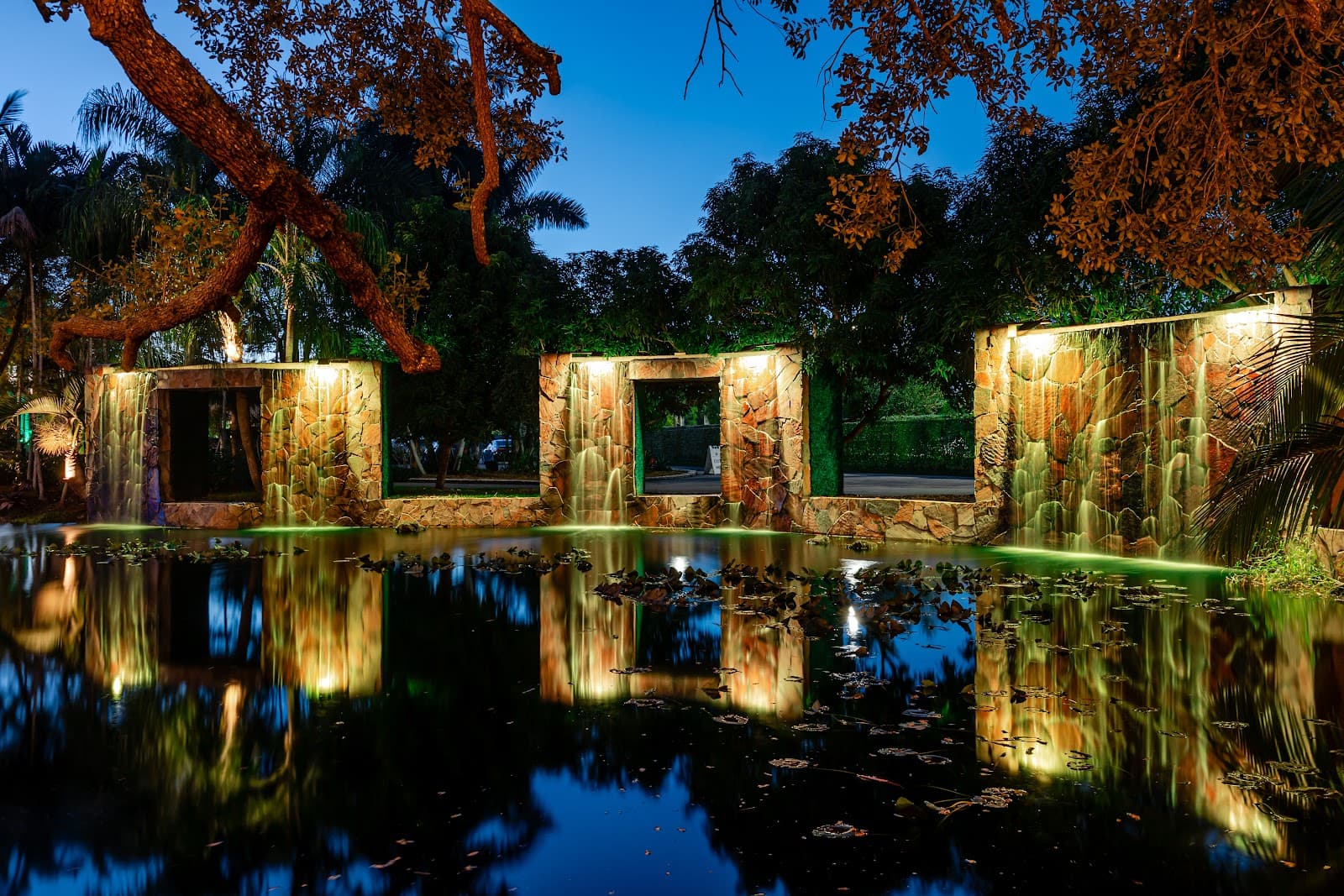 Living Sculpture Sanctuary in Davie