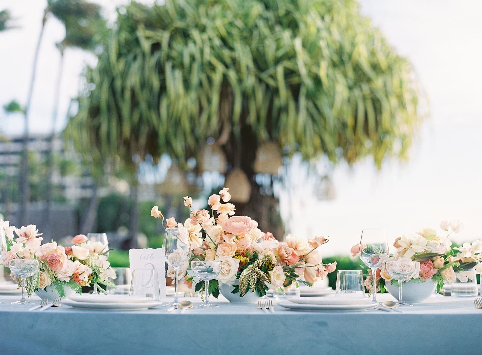 A White Orchid Wedding Inc in Wailuku