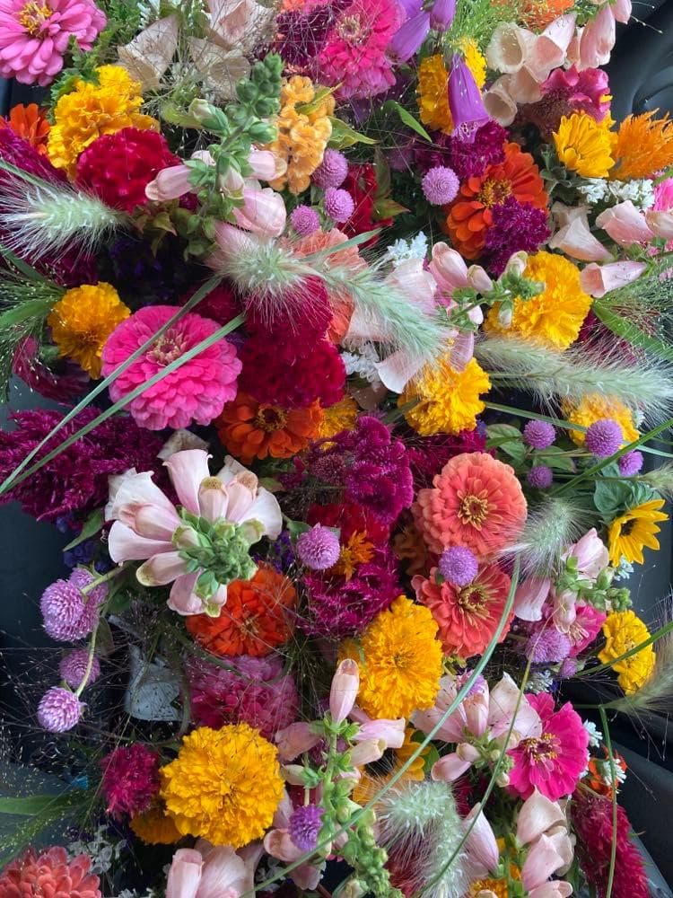 Little River Flower Farm in Buxton