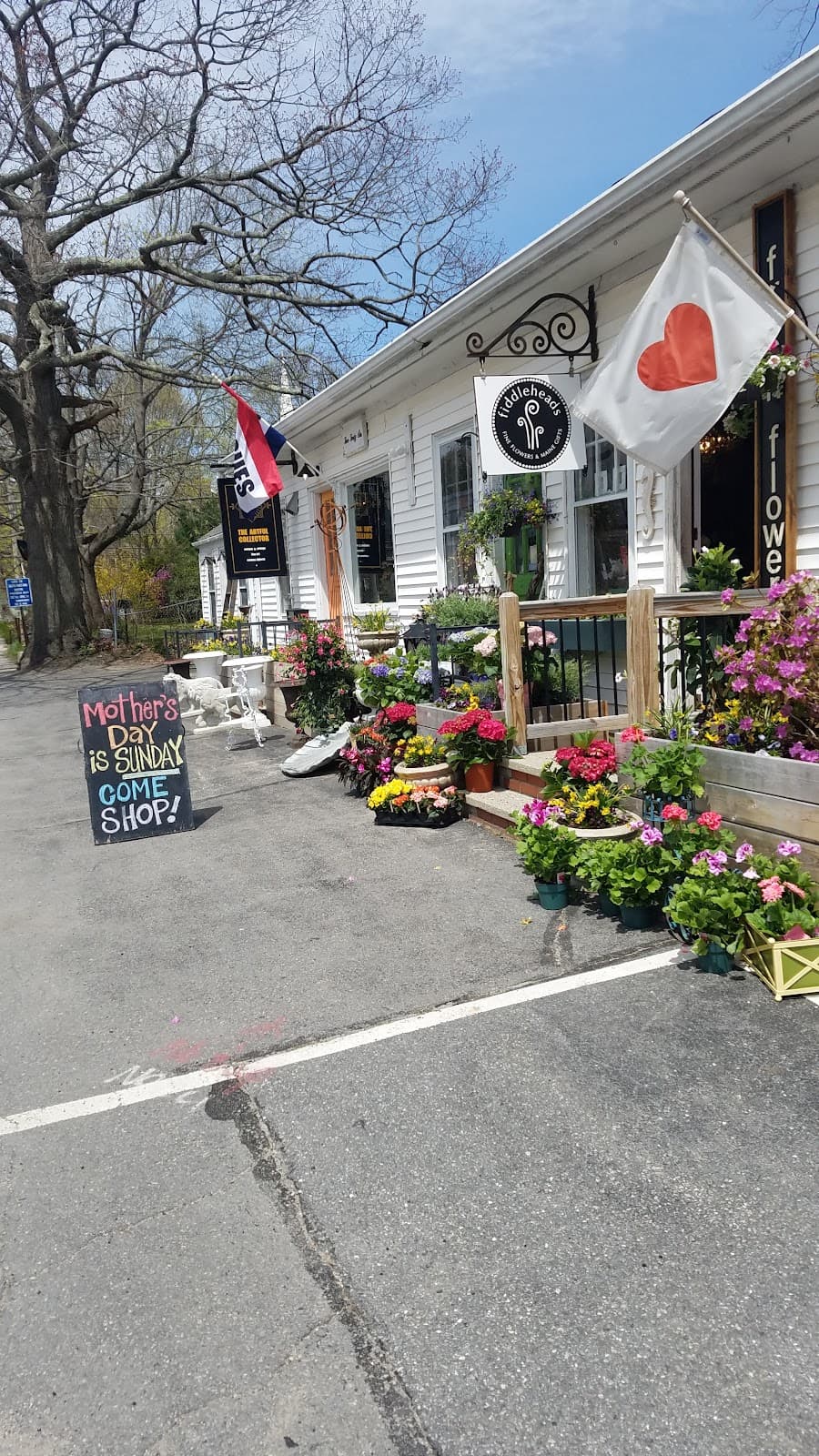 Fiddleheads Fine Flowers and Maine Gifts in Cape Elizabeth