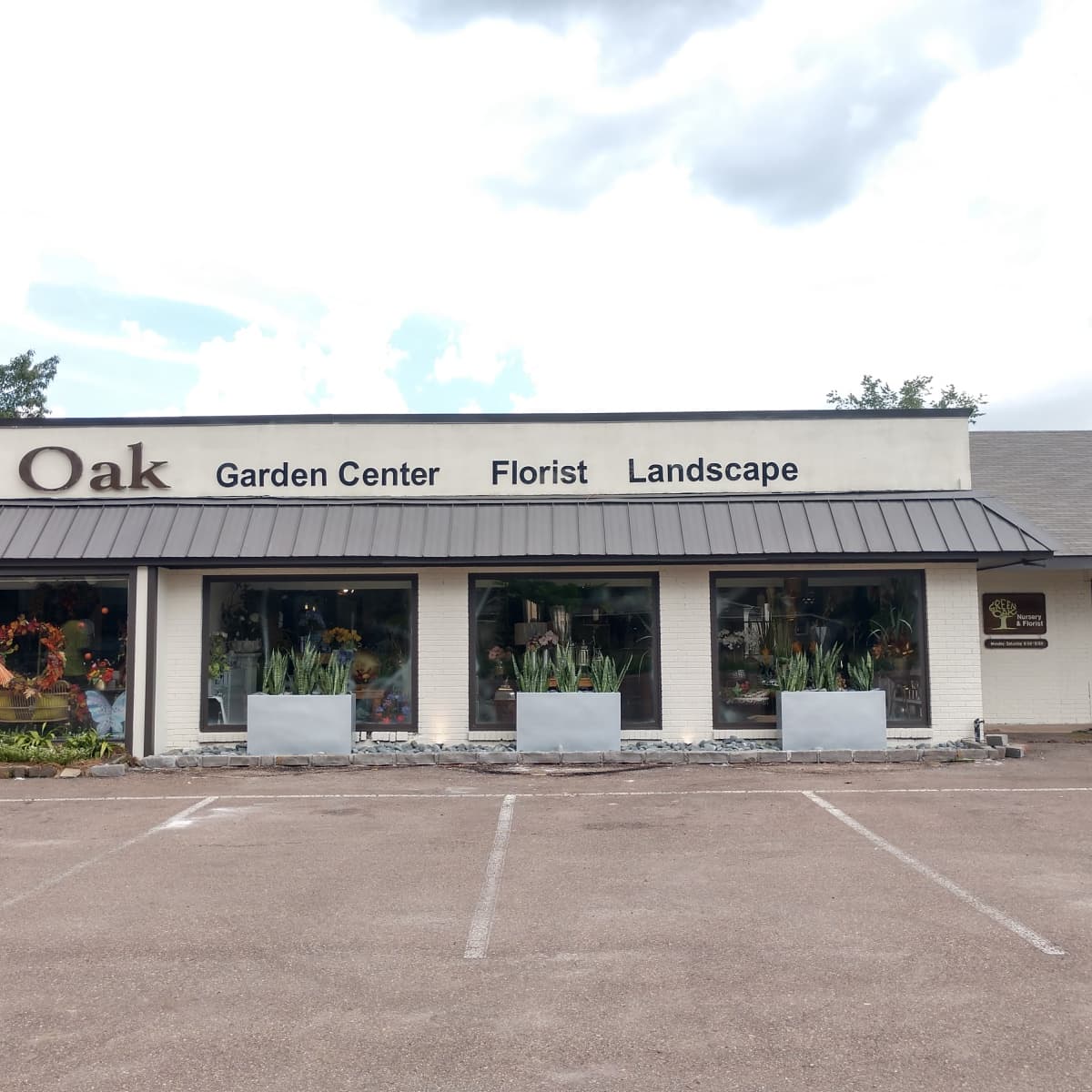 Green Oak in Jackson