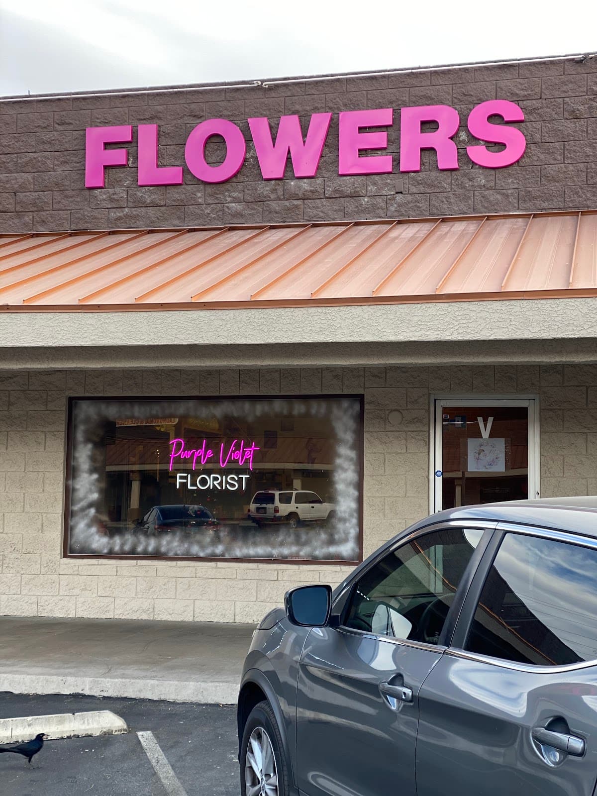 Purple Violet LLC in Las Vegas