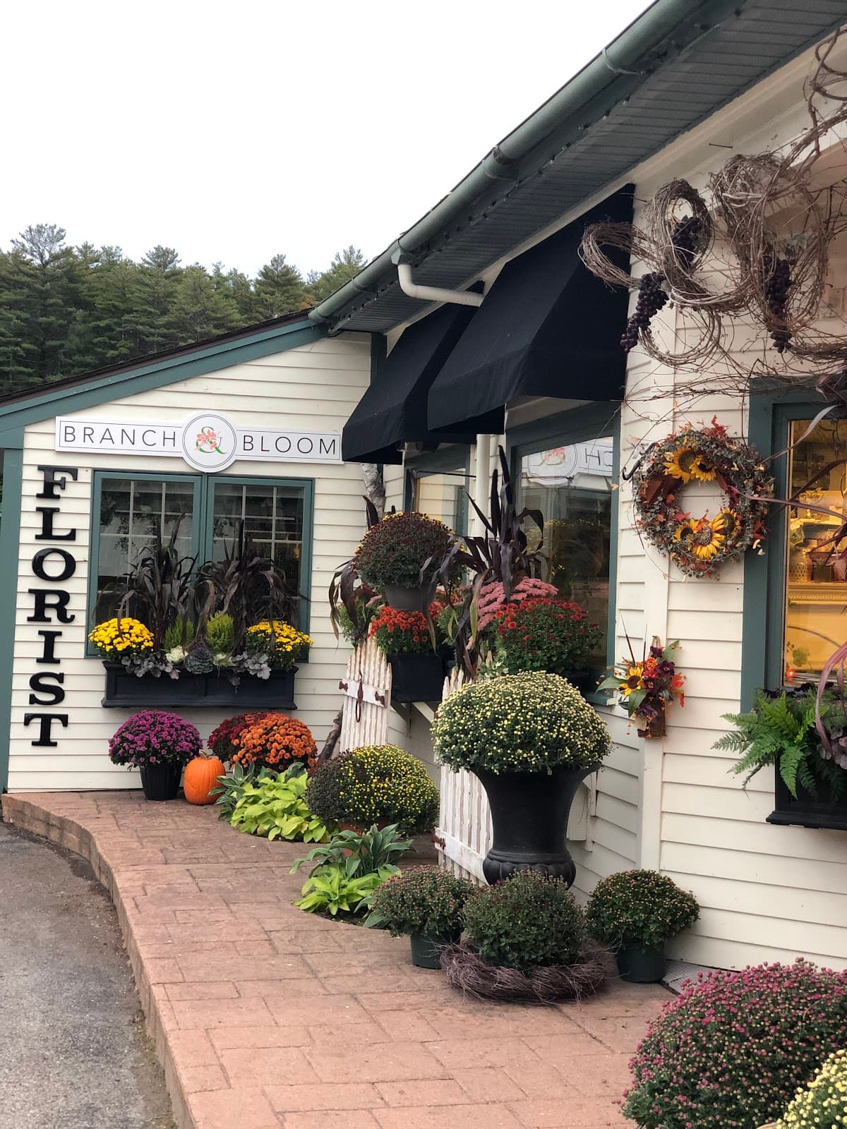 Branch & Bloom in Wolfeboro