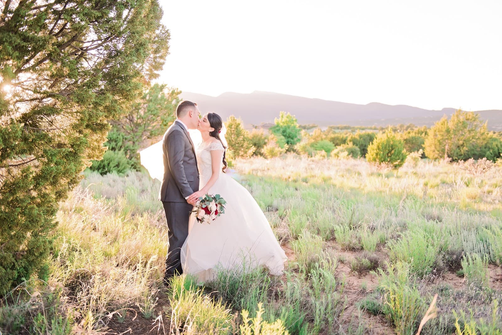 Wedding Collective New Mexico + Colorado in Albuquerque