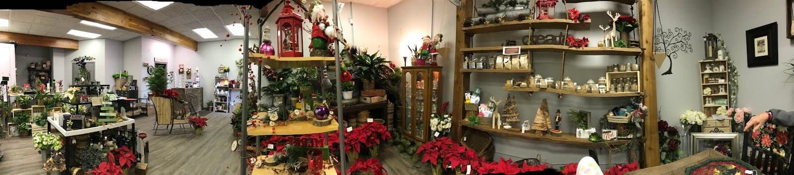 Beyond the Blooms in Mandan