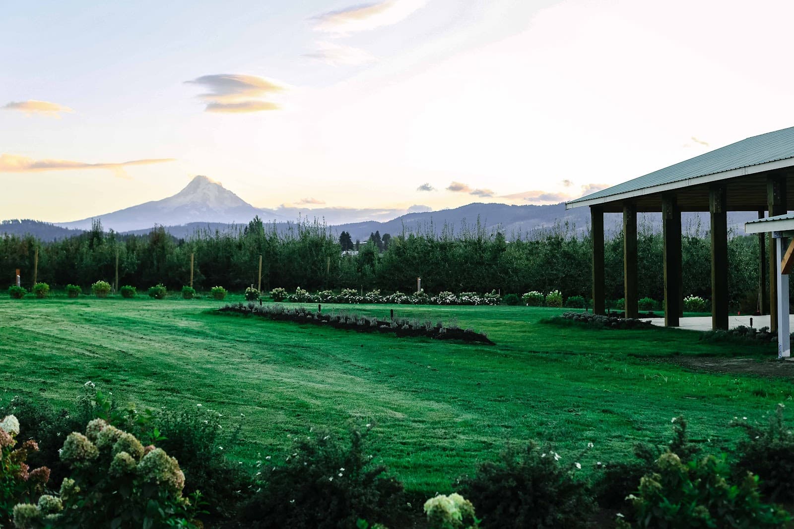 The Orchard in Hood River