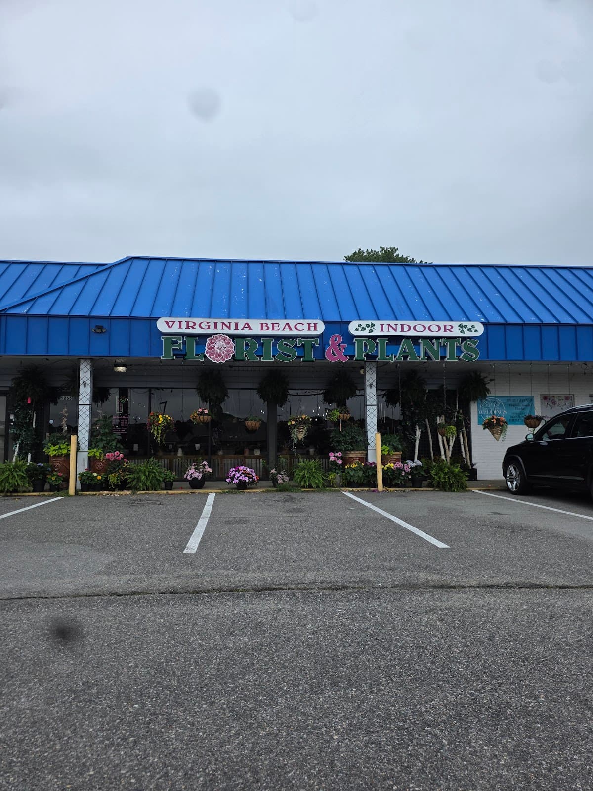 Virginia Beach Florist in Virginia Beach