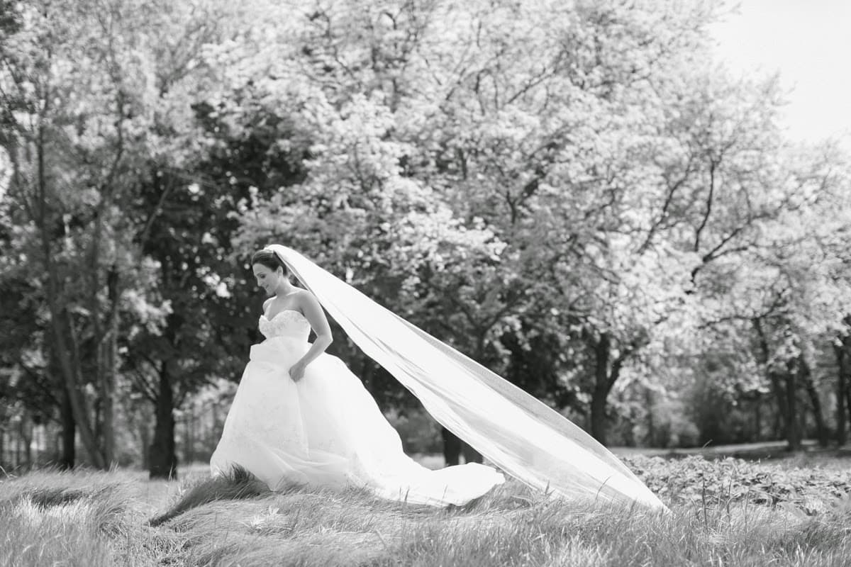 Heather Cook Elliott Photography in Milwaukee