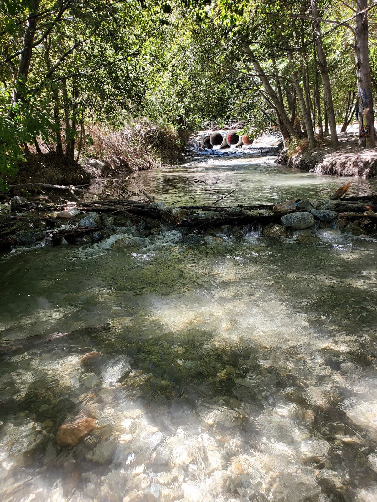 Hidden Acres Events in Lytle Creek