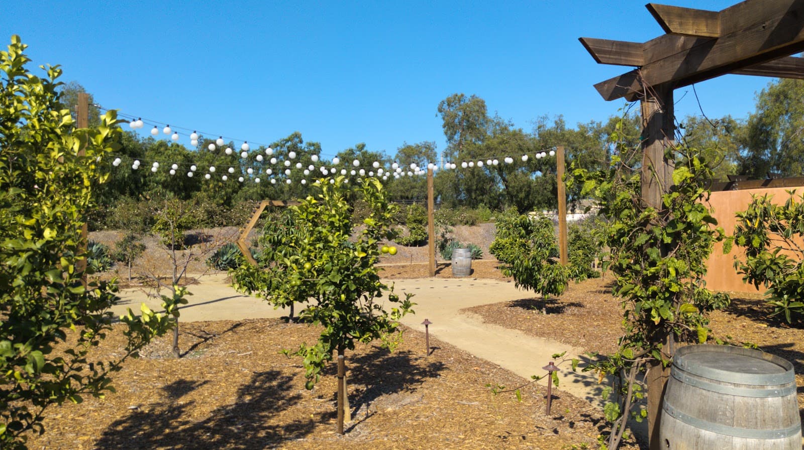 Gold Coast Farm in Aliso Viejo