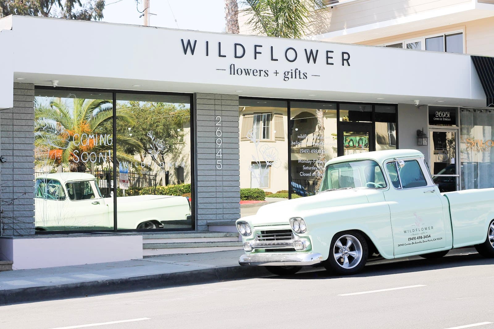 Wildflower in Dana Point