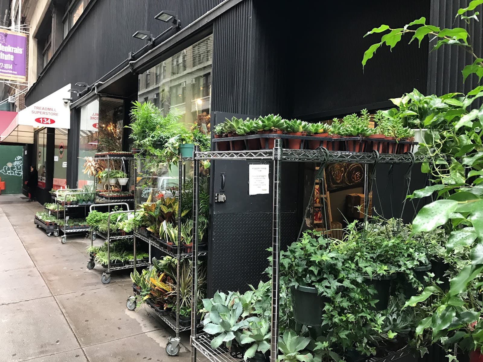 Starbright Floral Design in New York