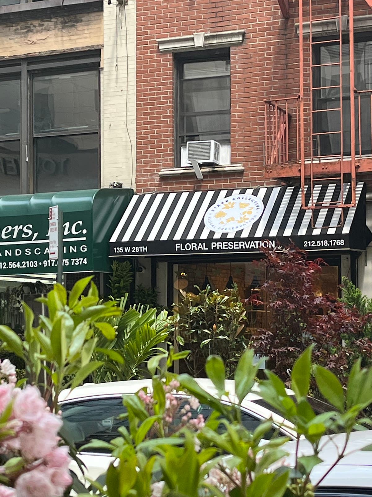 Starr Collective Floral Preservation in New York