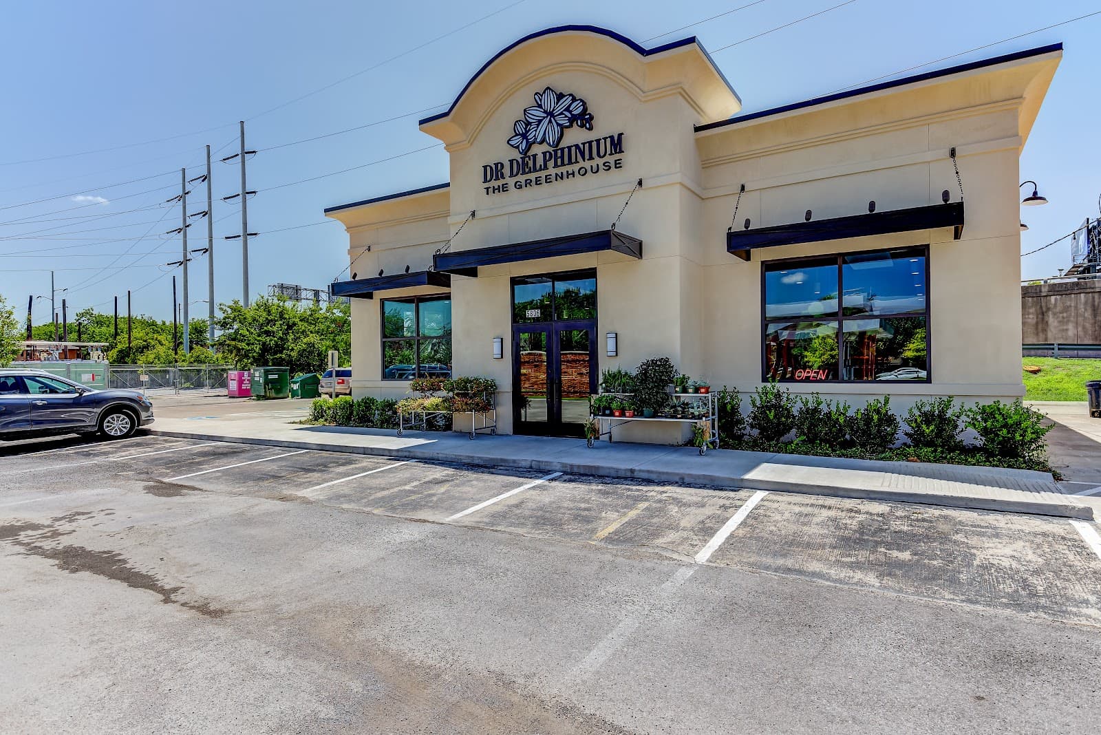 Dr Delphinium Designs & Events in Dallas